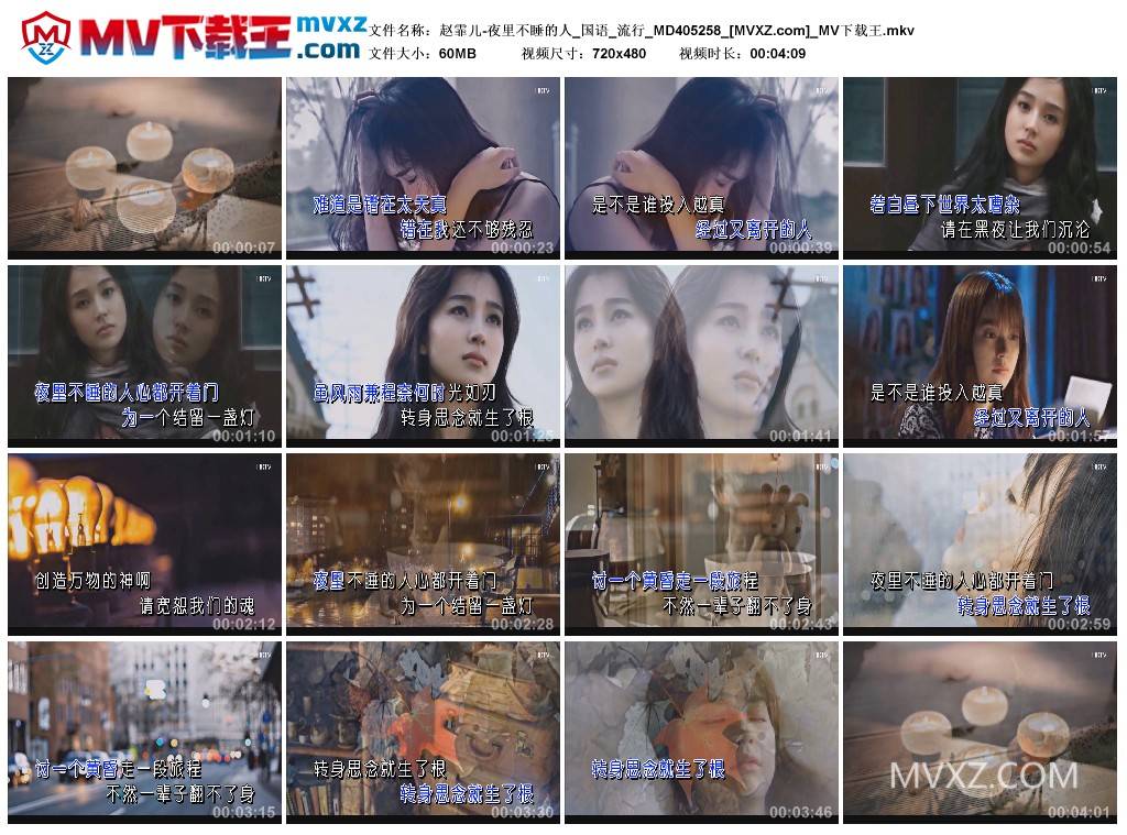 赵霏儿-夜里不睡的人_国语_流行_MD405258